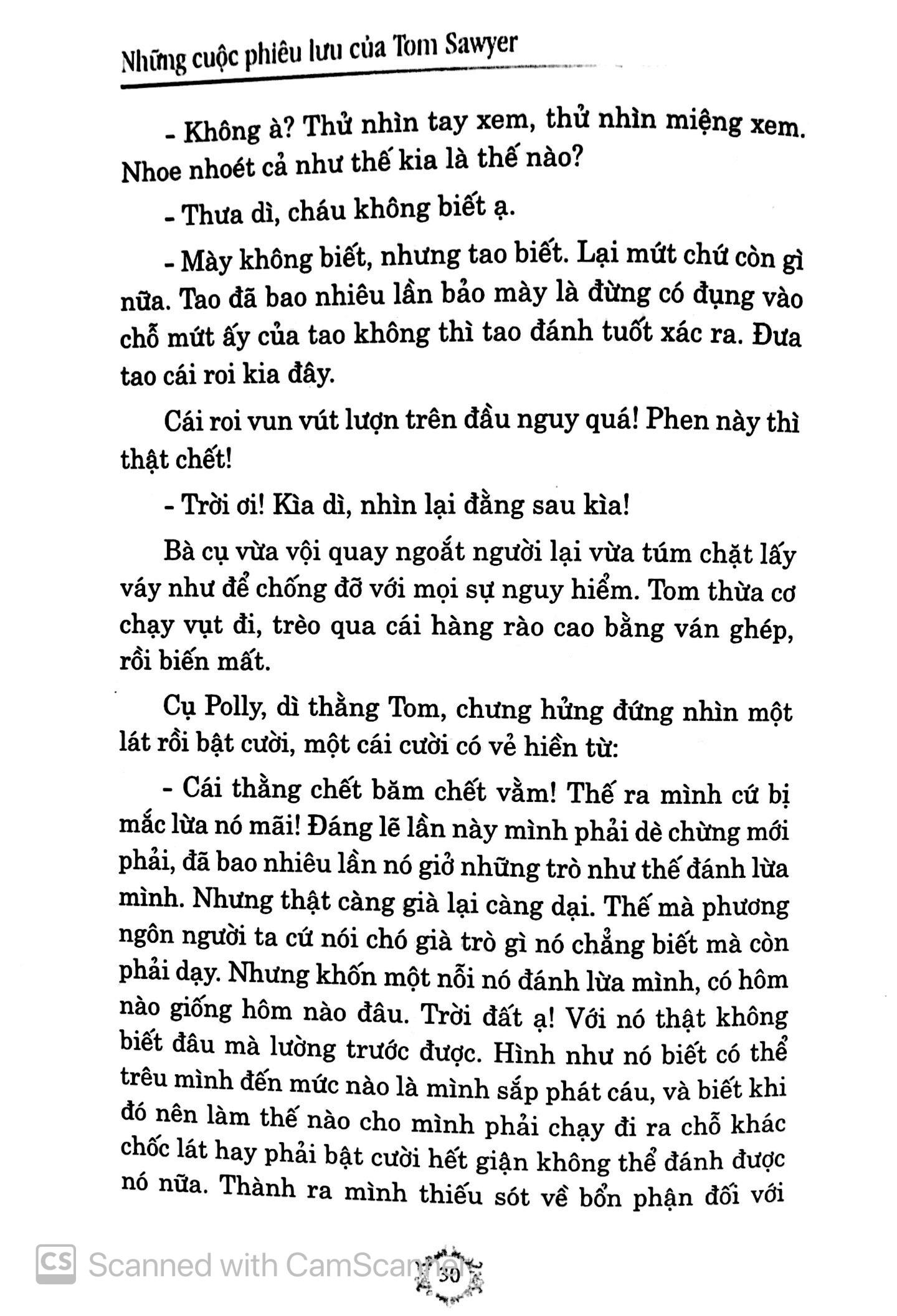 Những Cuộc Phiêu Lưu Của Tom Sawyer (Đinh Tị)