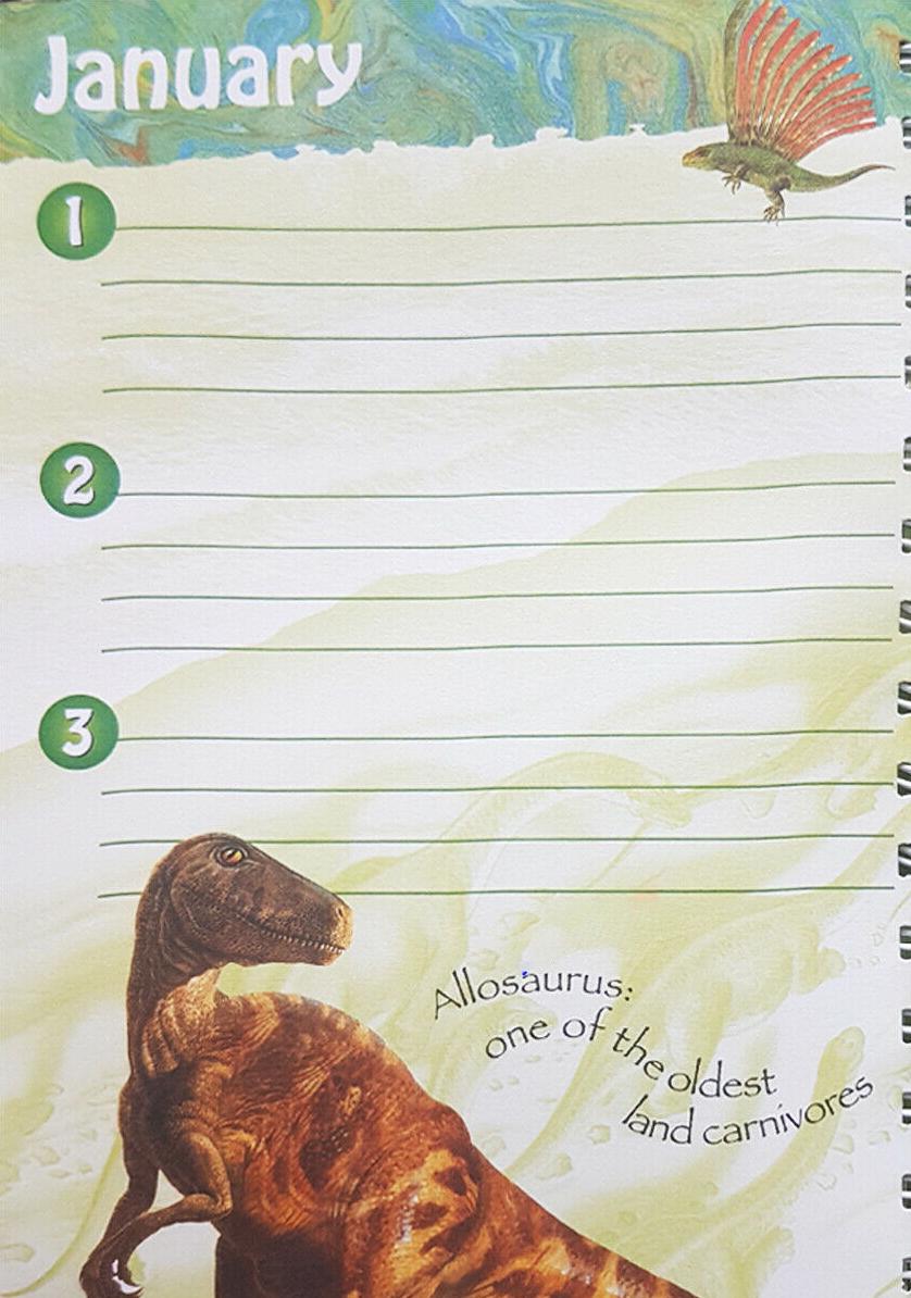 My Dinosaur Diary