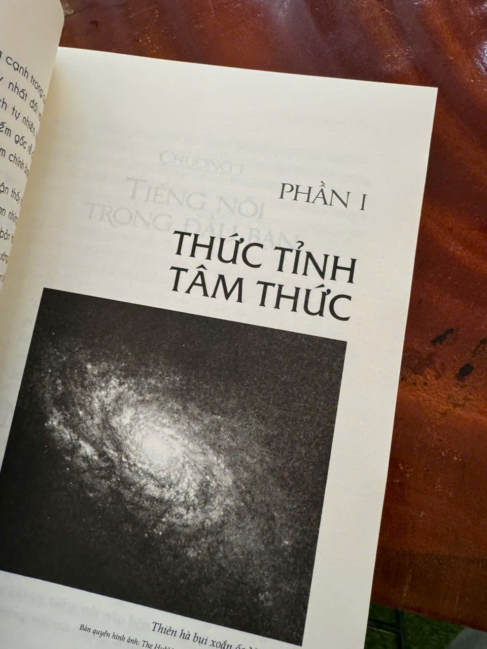 CỞI TRÓI LINH HỒN – Cuốn Sách Giúp Người Đọc Vượt Qua Giới Hạn Của Chính Mình - Michael A. Singer - Bùi Thị Ngọc Hương dịch -First News - NXB Tổng Hợp HCM