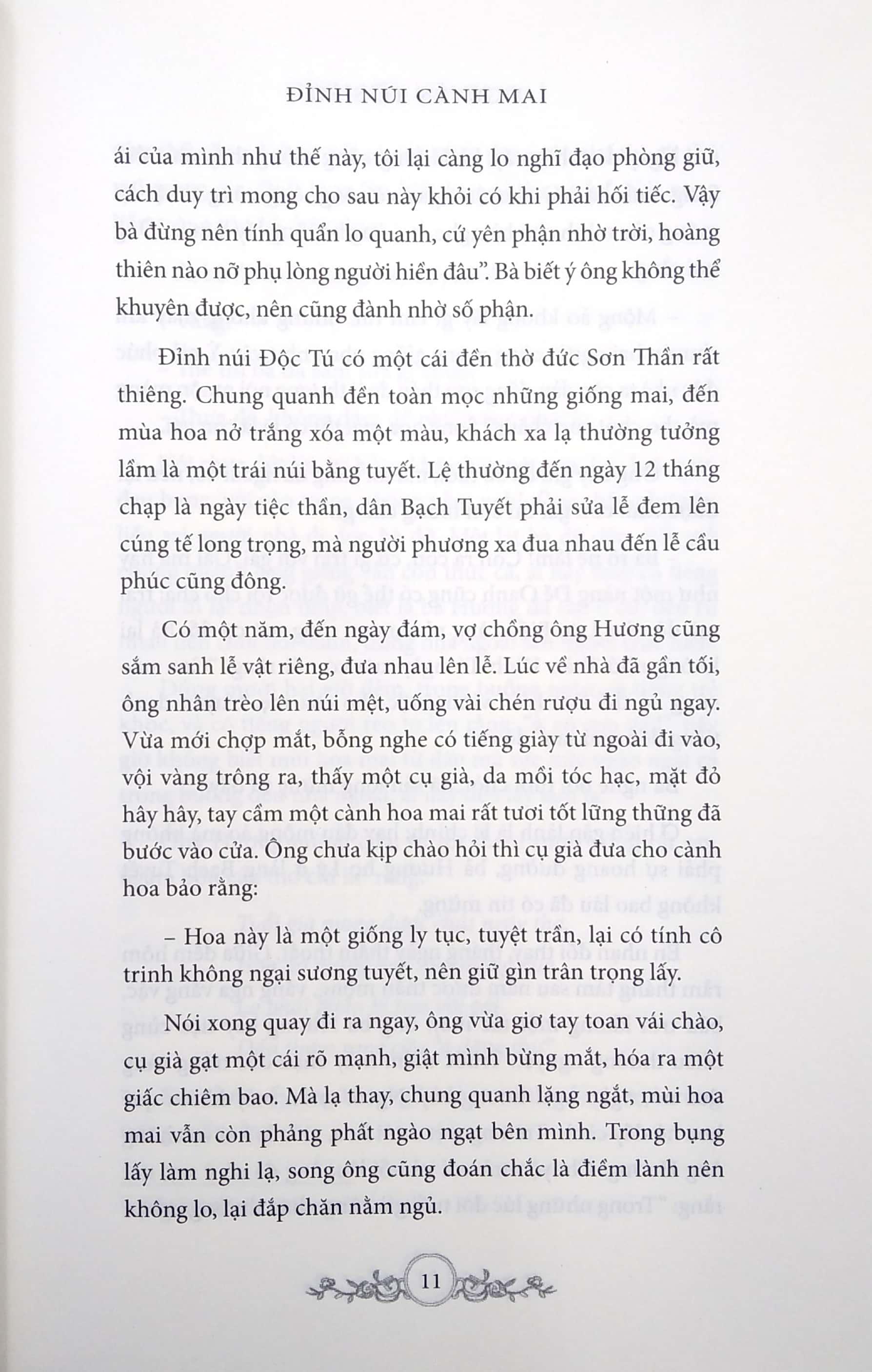 Đỉnh Núi Cành Mai