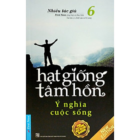 Hạt Giống Tâm Hồn 6 - Ý Nghĩa Cuộc Sống - FN