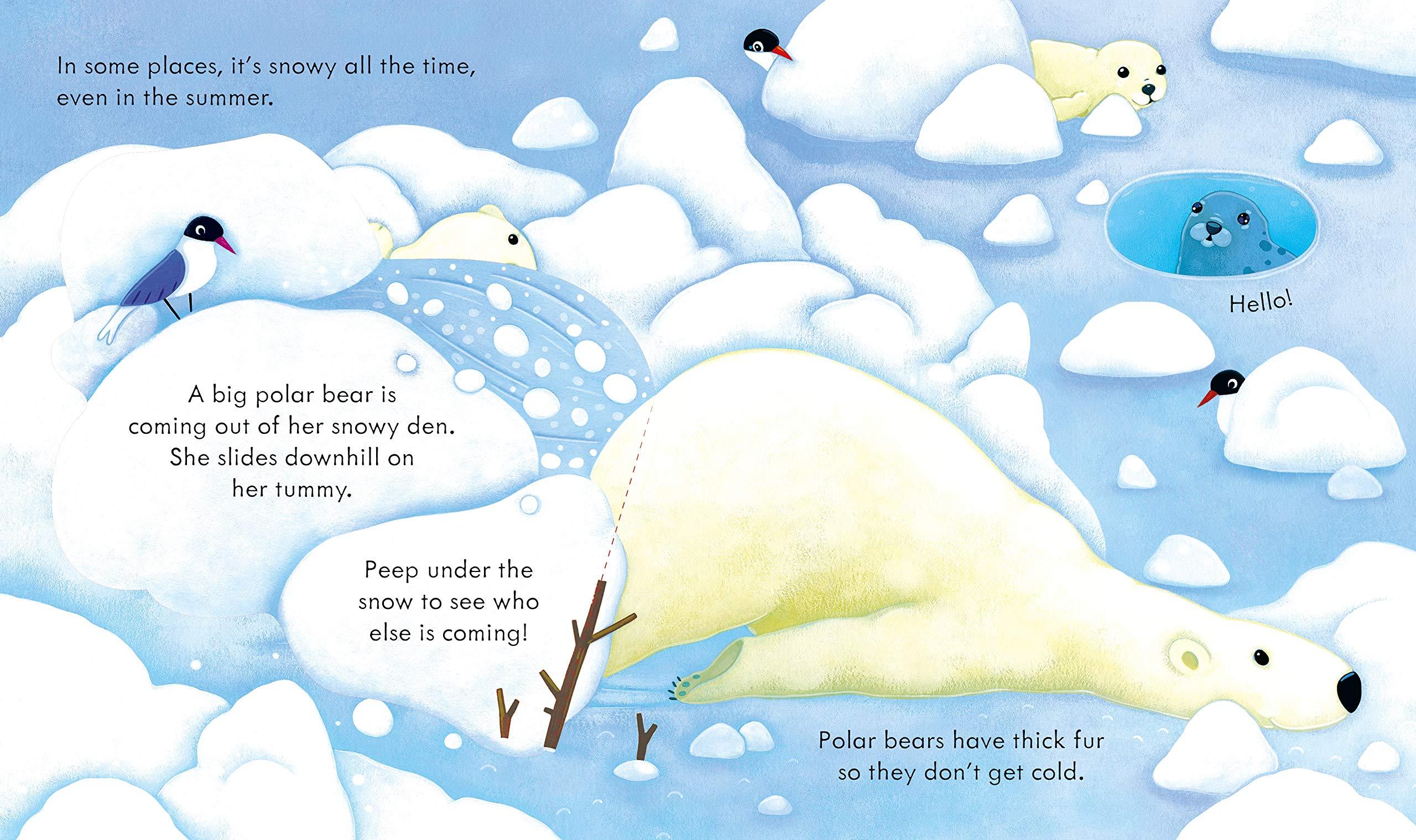 Peep Inside Snowy Places