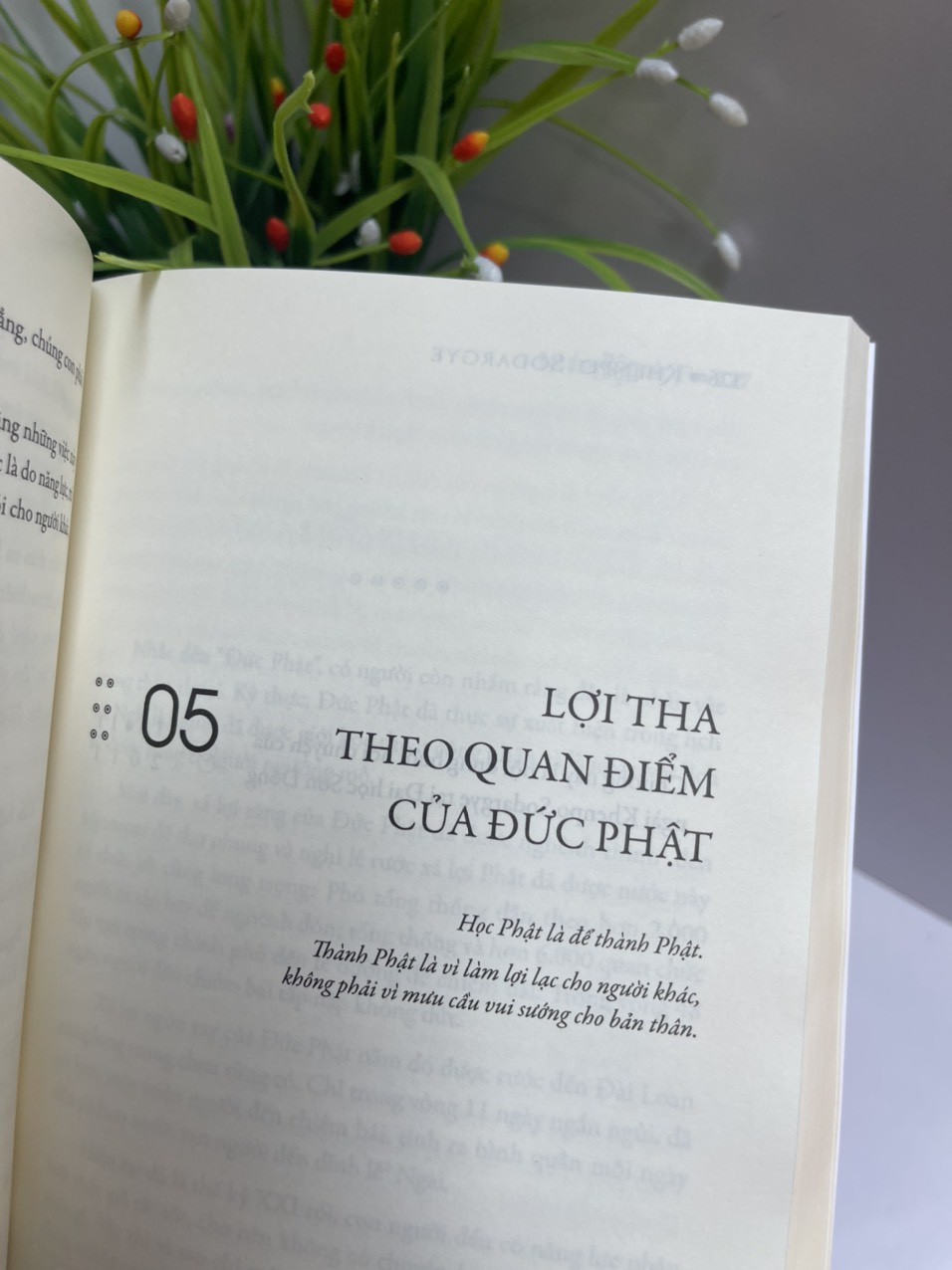 BẠN ĐANG BẬN VIỆC GÌ? - Khenpo Sodargye - Thuận Minh dịch - Achaubooks – NXB Lao Động