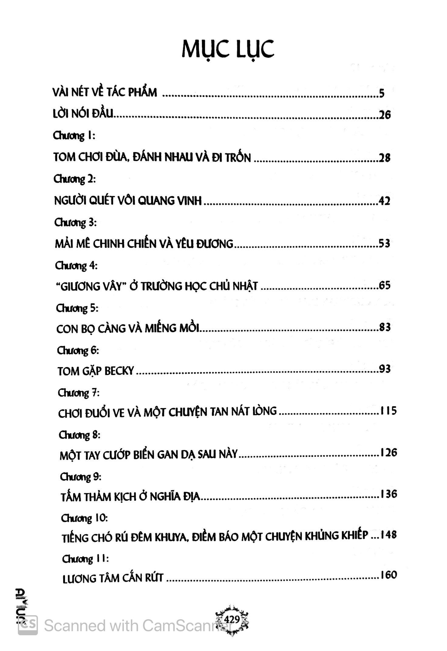 Những Cuộc Phiêu Lưu Của Tom Sawyer (Đinh Tị)