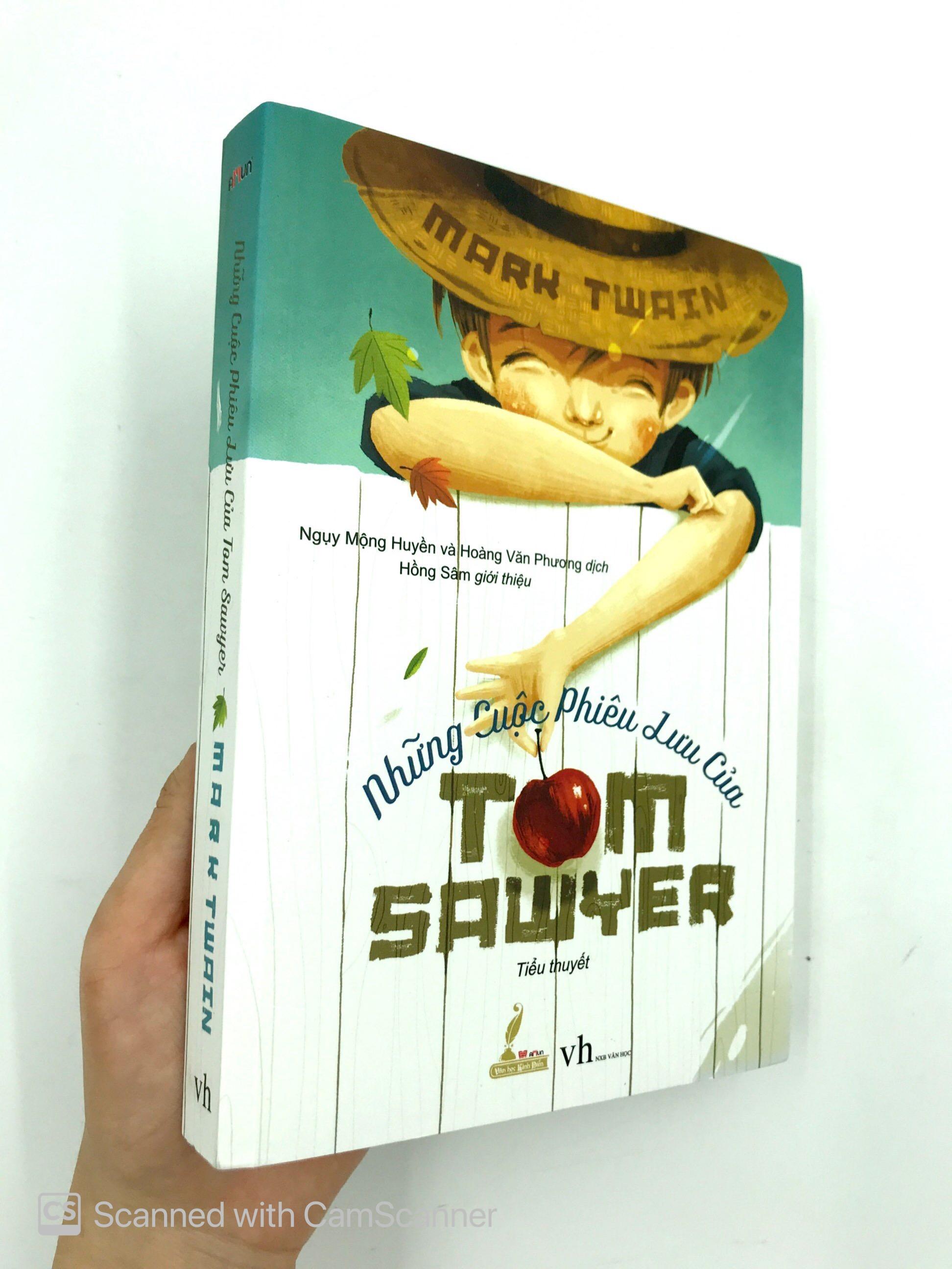 Những Cuộc Phiêu Lưu Của Tom Sawyer (Đinh Tị)