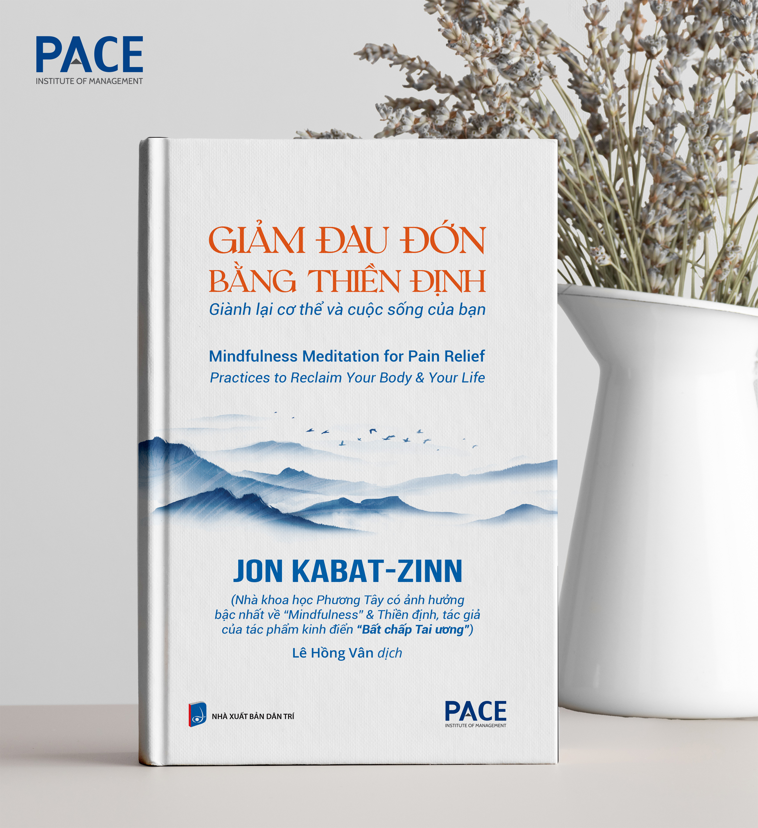 Giảm Đau Đớn Bằng Thiền Định