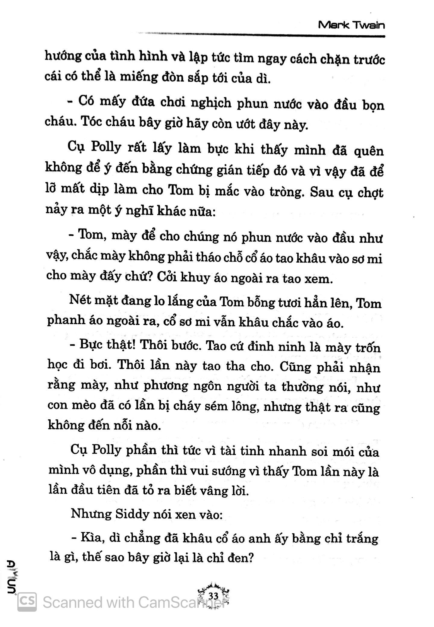 Những Cuộc Phiêu Lưu Của Tom Sawyer (Đinh Tị)