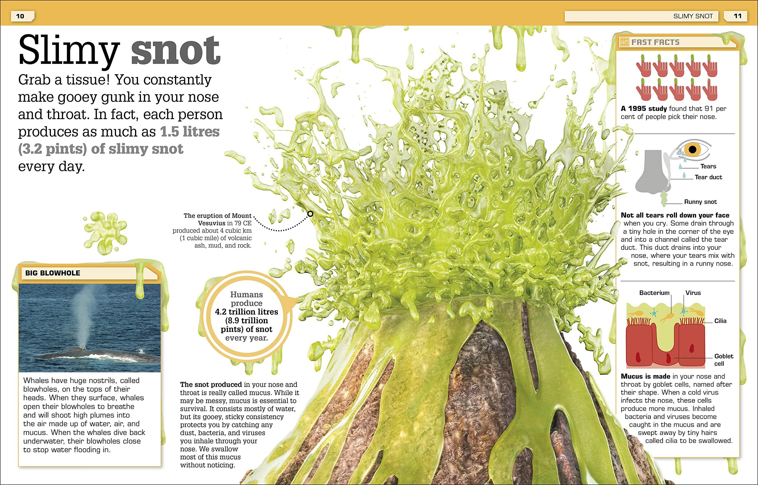 The Science Of Goo!: From Saliva And Slime To Frogspawn And Fungus