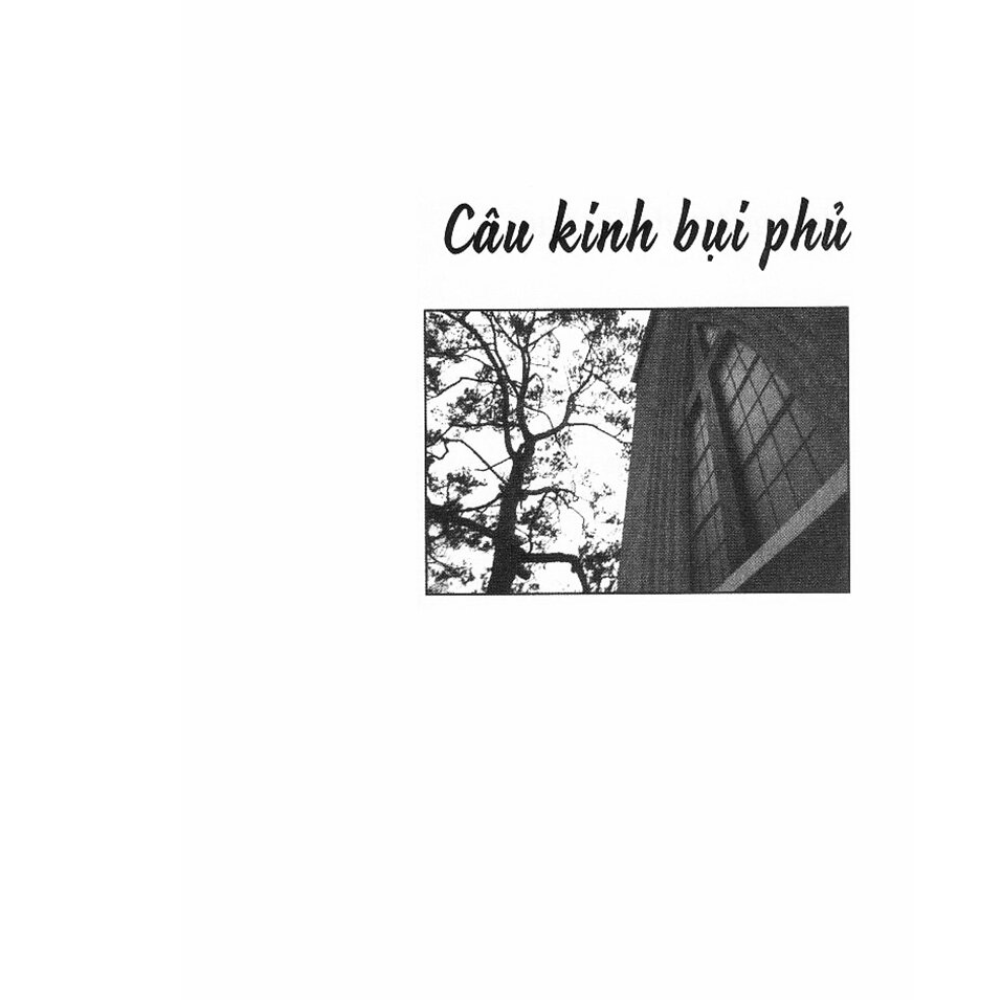 Ngang qua vườn cây dầu