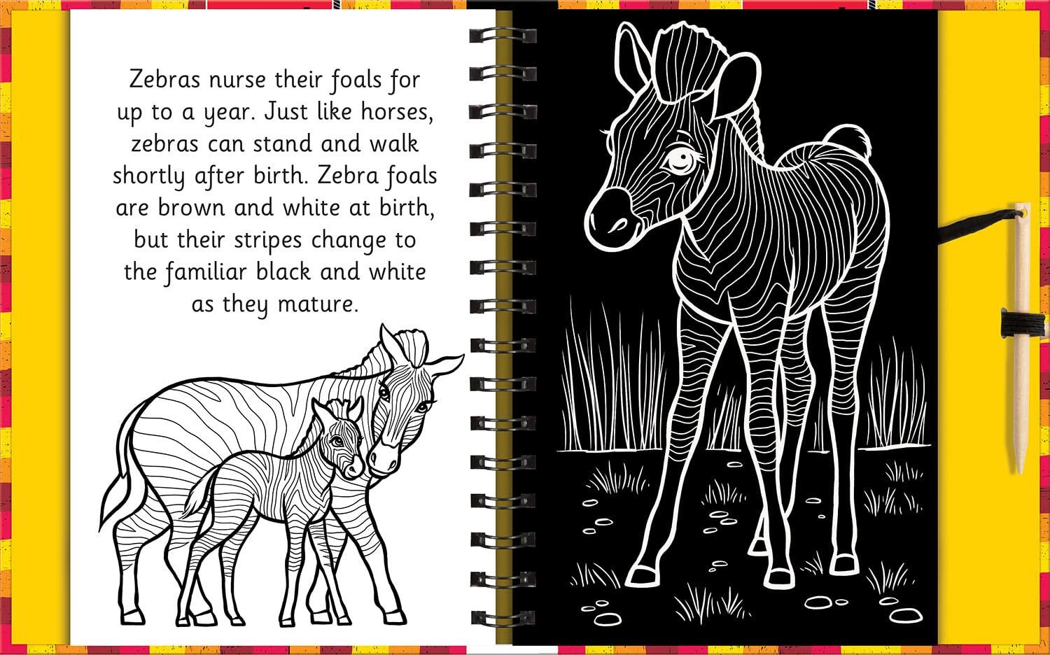 Scratch & Draw Animals - Scratch Art Activity Book