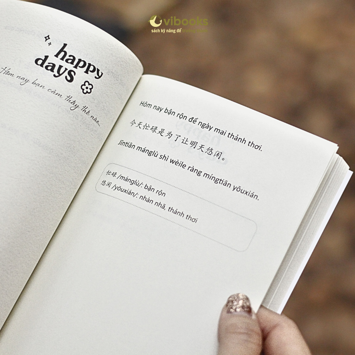 Hôm Nay Là Ngày Đẹp Trời Để Chia Tay Nỗi Buồn (Sách/Sổ Tay Song Ngữ Việt – Trung)