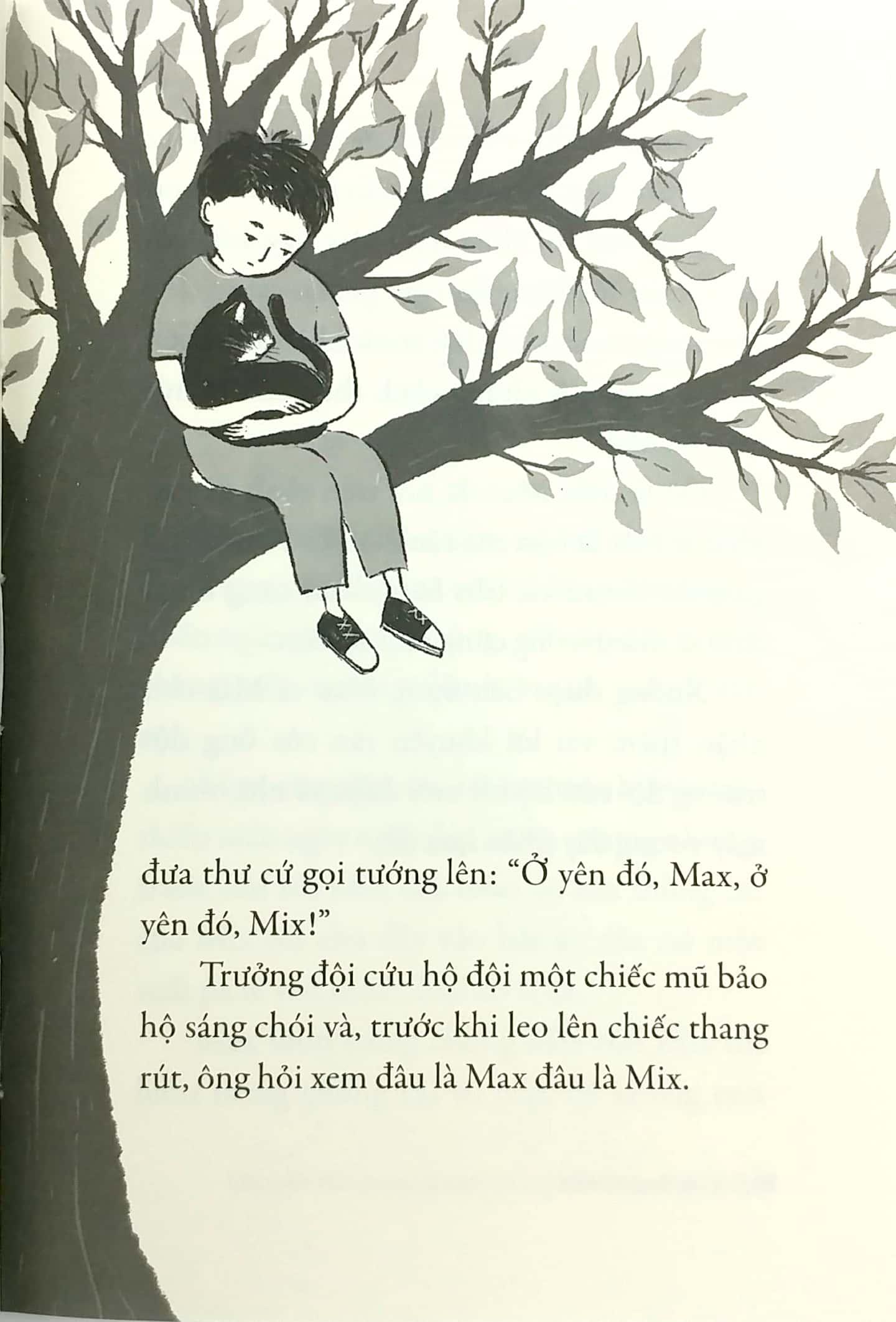 Chuyện Con Mèo Và Con Chuột Bạn Thân Của Nó - Tái Bản