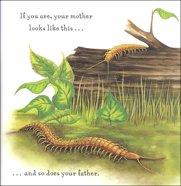 Are You A Centipede? (Backyard Books)