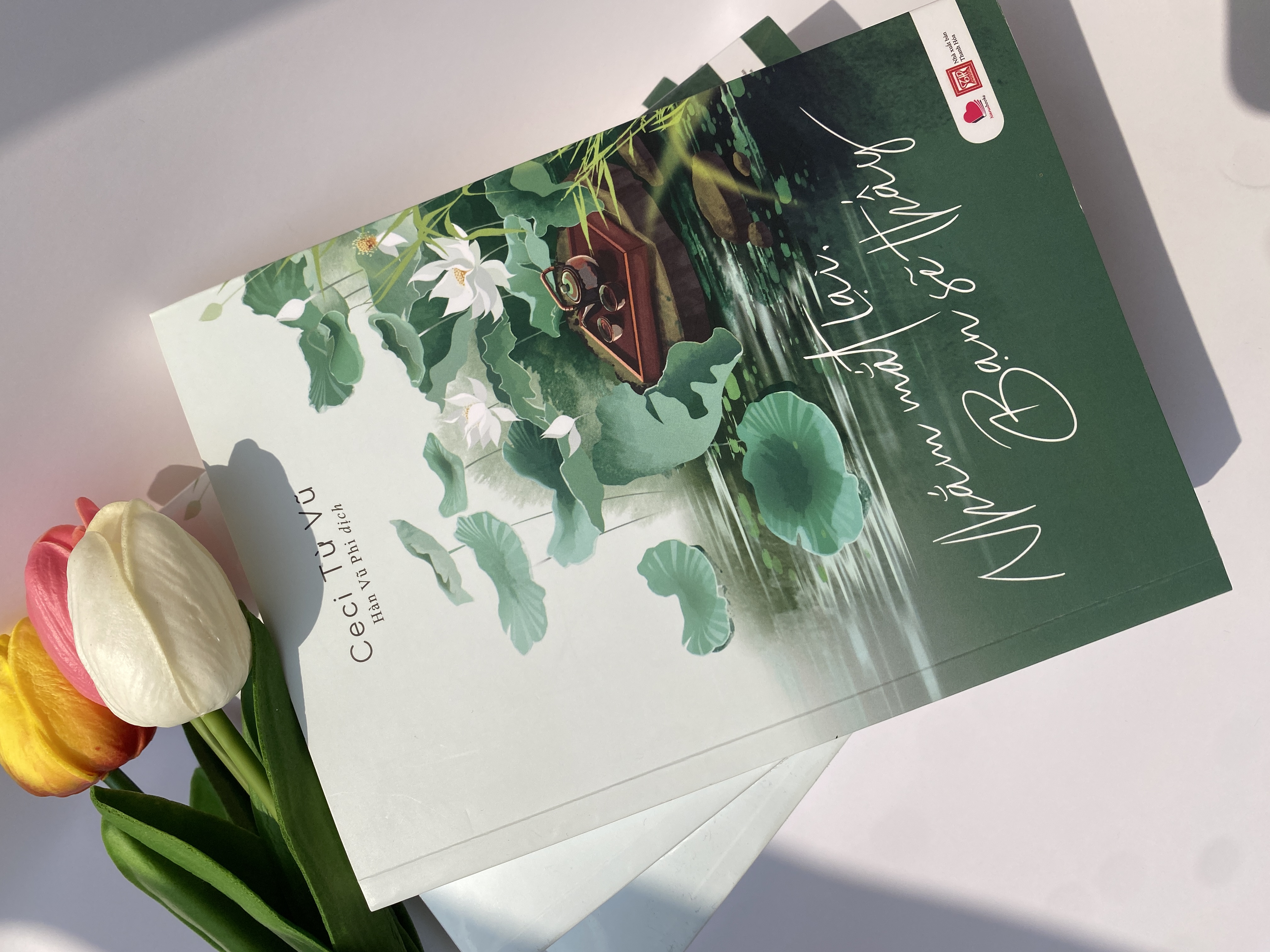 Sách - Nhắm mắt lại bạn sẽ thấy