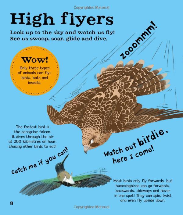 Wow! Birds