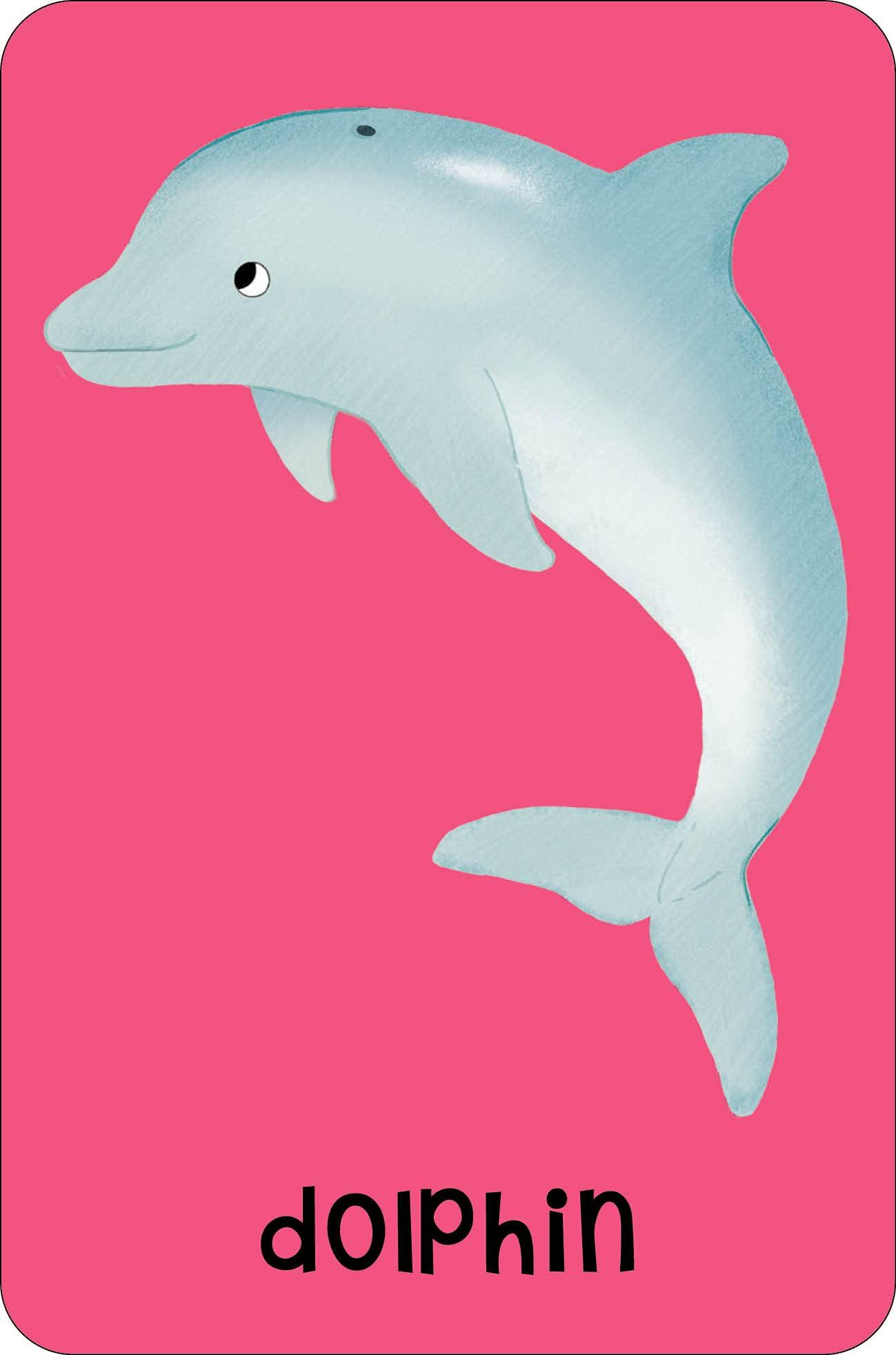 Sea Snap!