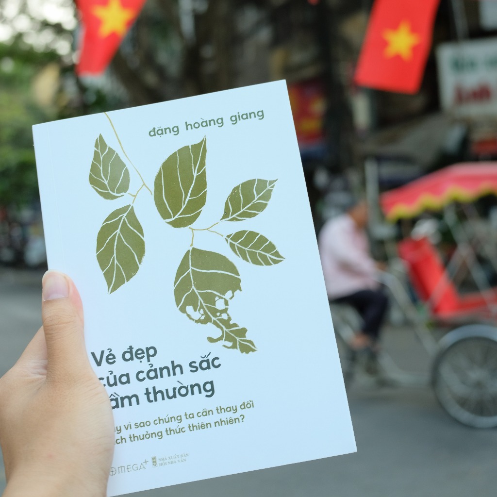 Vẻ Đẹp Của Cảnh Sắc Tầm Thường (Trạm Đọc)