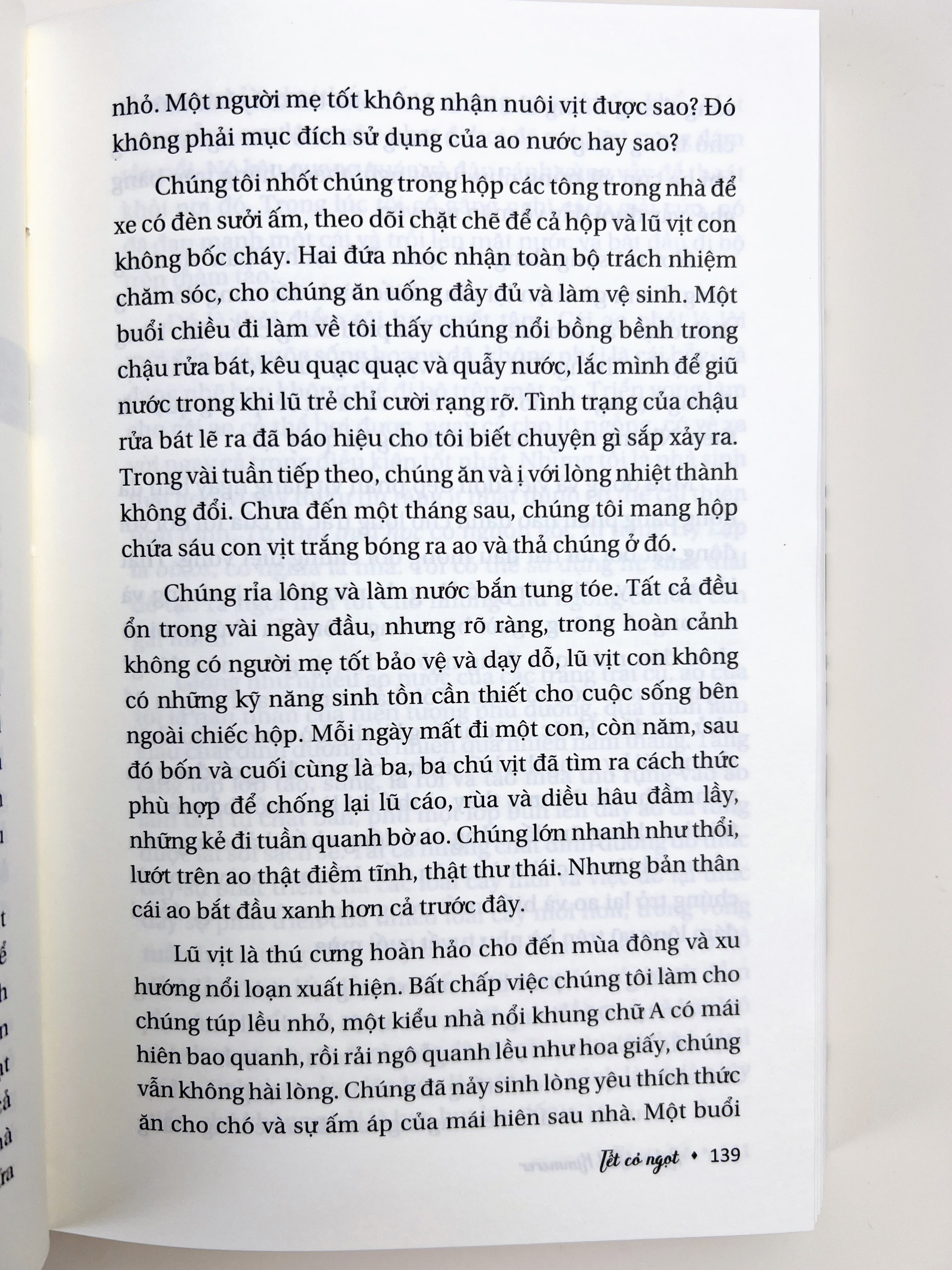 Sách - Tết cỏ ngọt - Tri thức bản địa, Kiến thức khoa học và những lời dạy từ cỏ cây - Bìa mềm - 576 trang