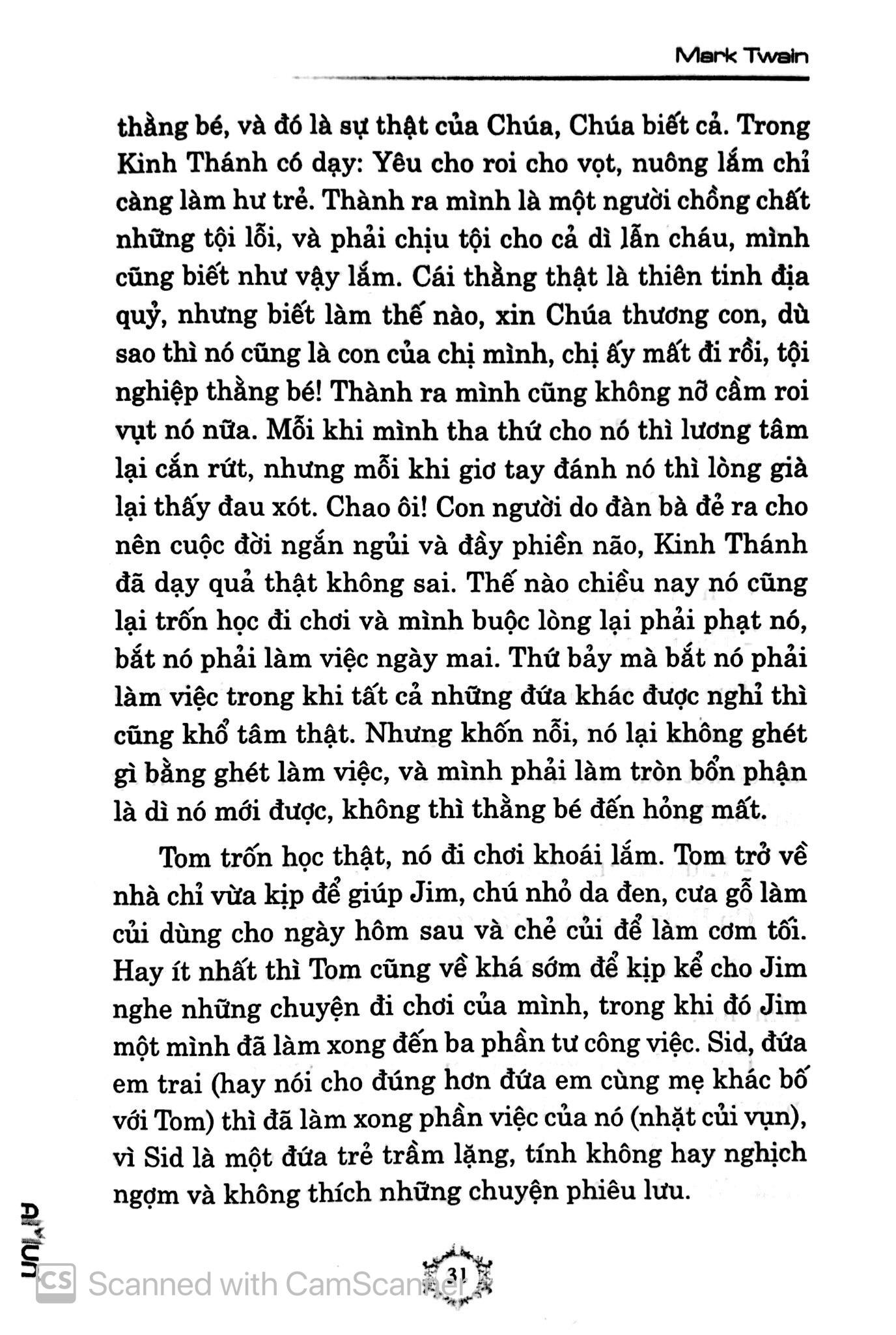 Những Cuộc Phiêu Lưu Của Tom Sawyer (Đinh Tị)