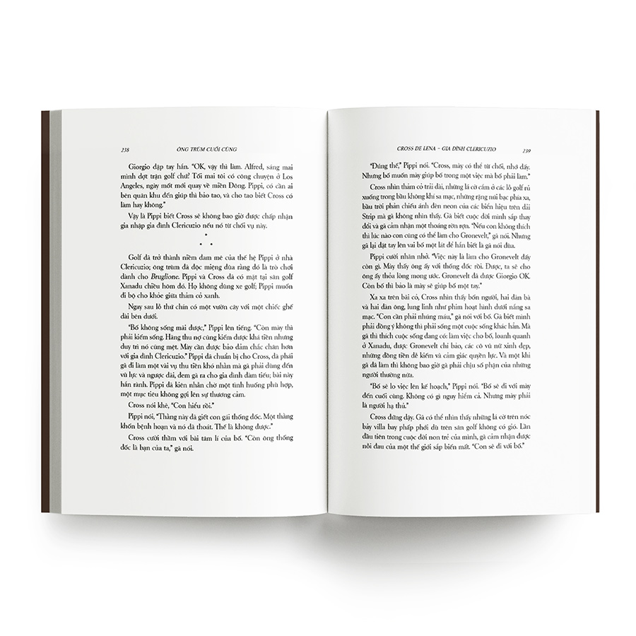 Ông Trùm Cuối Cùng (Mario Puzo)
