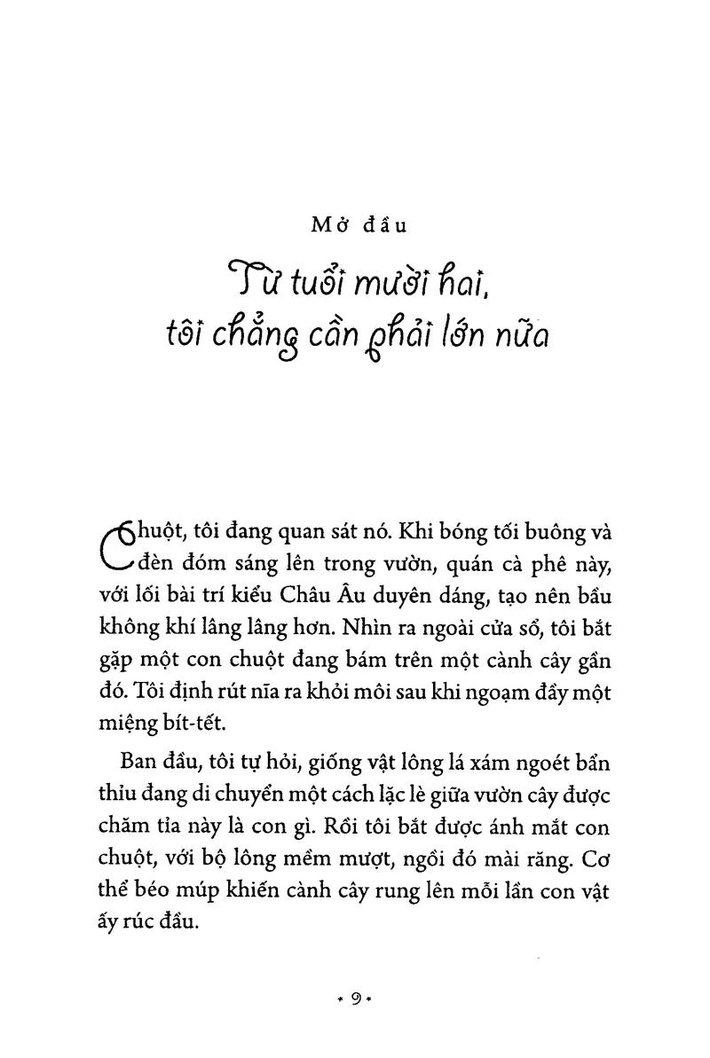 Món Quà Từ Cánh Chim