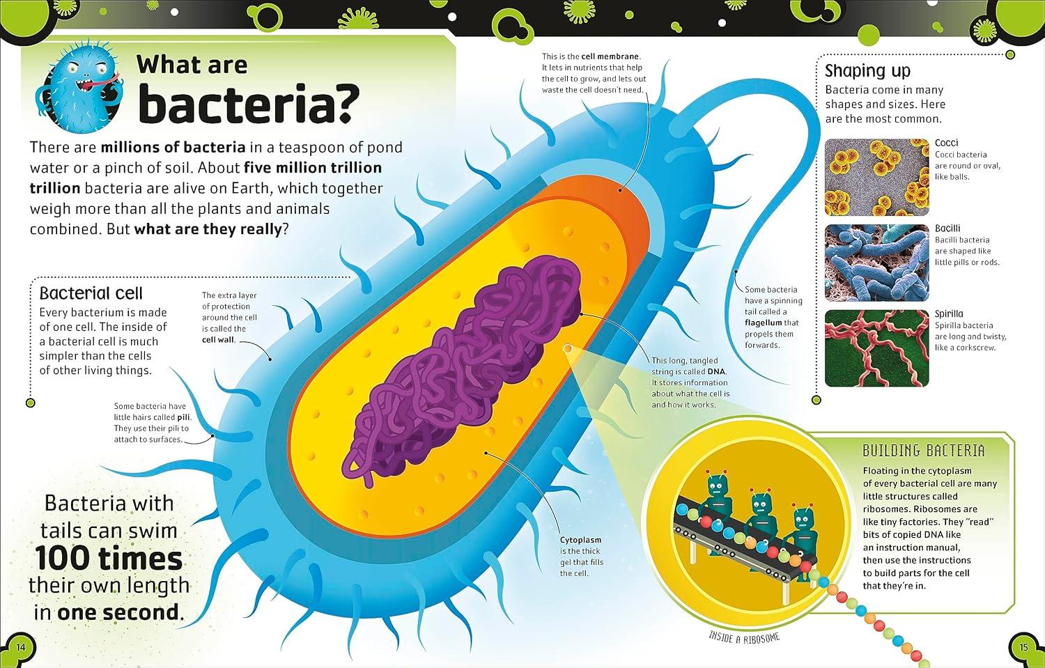 Sách ngoại văn: The Bacteria Book (New Edition)
