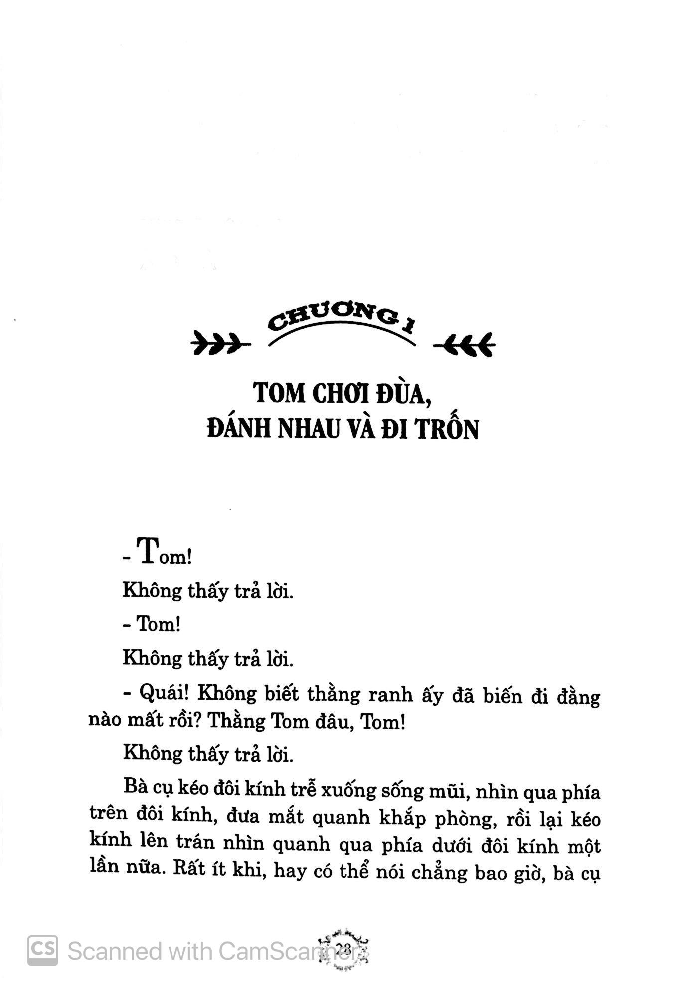 Những Cuộc Phiêu Lưu Của Tom Sawyer (Đinh Tị)