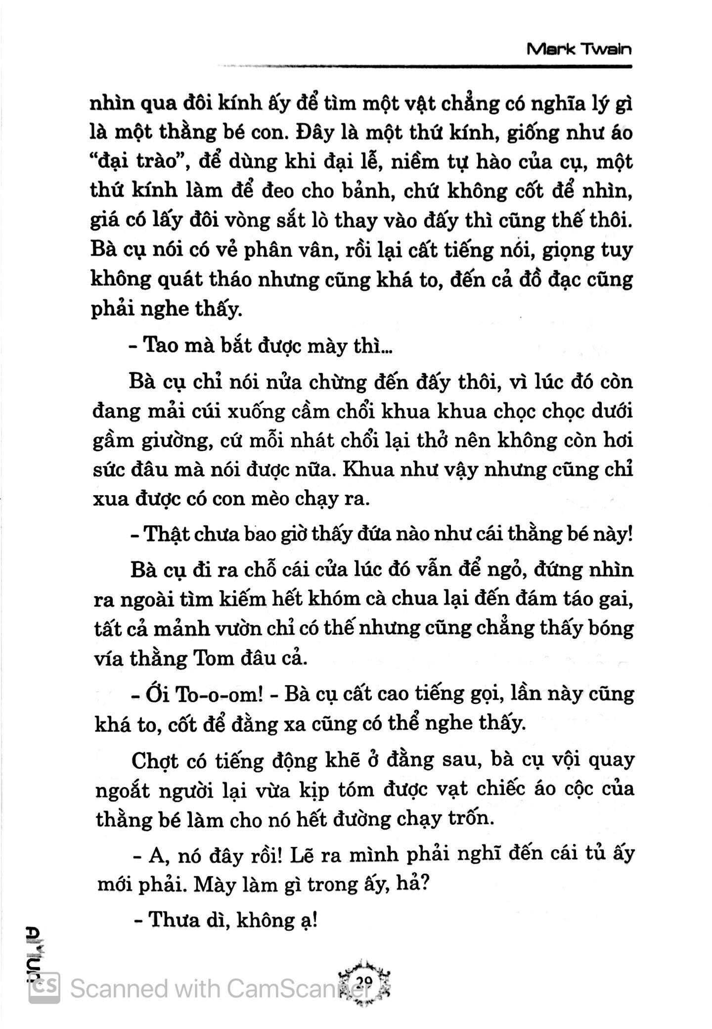 Những Cuộc Phiêu Lưu Của Tom Sawyer (Đinh Tị)