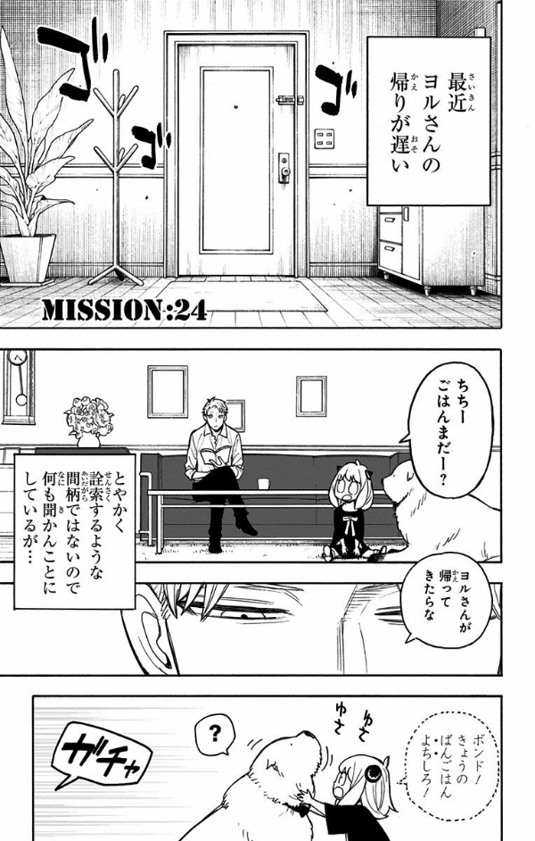 SPY X FAMILY 5