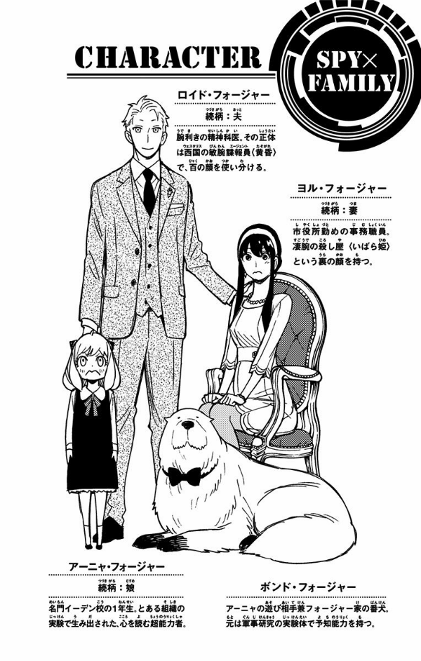 SPY X FAMILY 5
