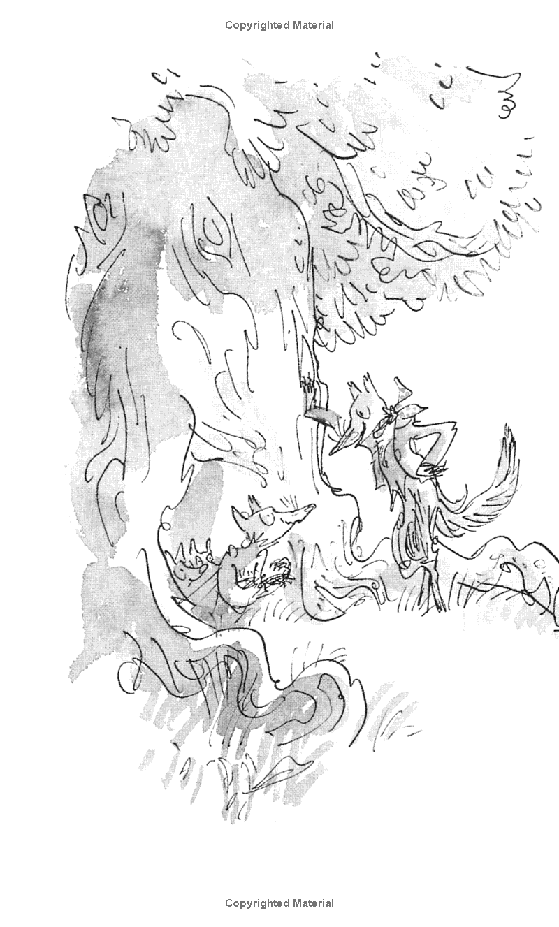 Fantastic Mr. Fox (Roald Dahl, Illustrated by Quentin Blake)