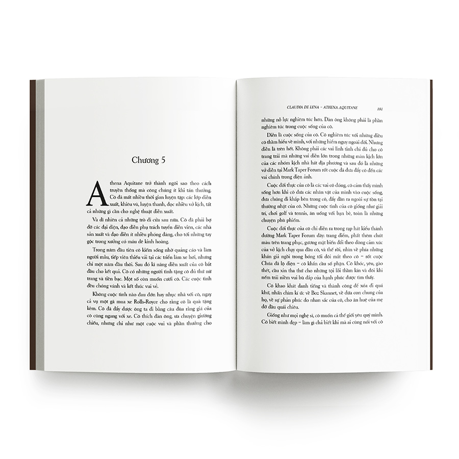 Ông Trùm Cuối Cùng (Mario Puzo)
