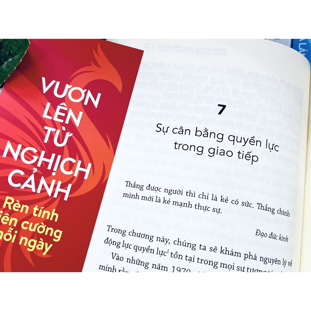 Vươn lên từ nghịch cảnh: Rèn tính kiên cường mỗi ngày