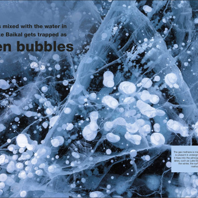 Periodic Table: Facts At Your Fingertips (Pocket Eyewitness)