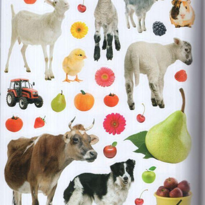 Sách ngoại văn: Farm Sticker Activities