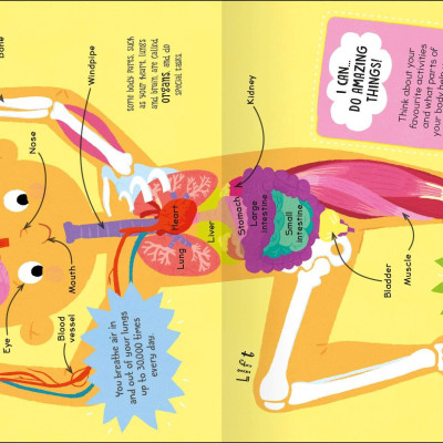 First Body Book-Set off on a Head-to-Toe Adventure through the Human Body-Includes over 20 Anatomical Diagrams and a Colorful Body Systems Wall Poster - Sách về cơ thể đầu tiên