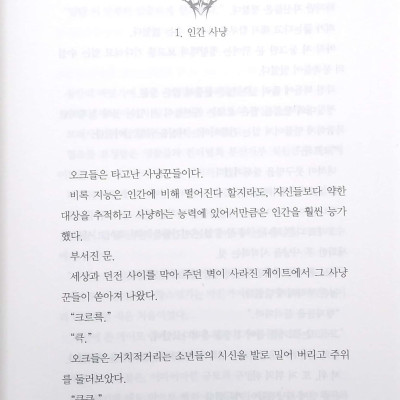 나 혼자만 레벨업 5 (추공 장편소설) - Only I Level Up - Solo Leveling (Fiction Novel)