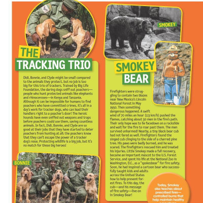 125 Animals That Changed The World