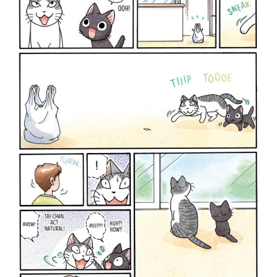 Sue & Tai-chan 3 (Graphic Novels)