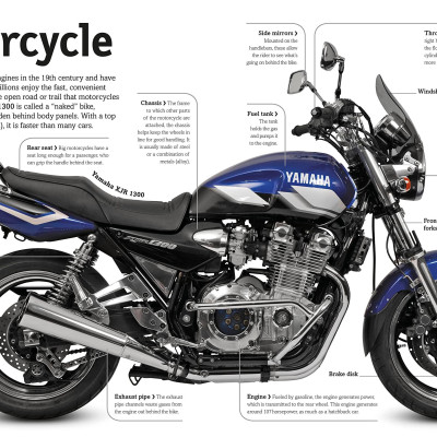 Cars, Trains, Ships, And Planes: A Visual Encyclopedia Of Every Vehicle (DK Our World In Pictures)