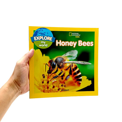 Explore My World: Honey Bees