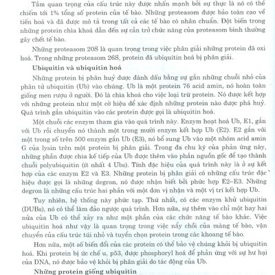 Bệnh Học Đại Cương (Dùng Cho Đào Tạo Bác Sĩ Và Học Viên Sau Đại Học)