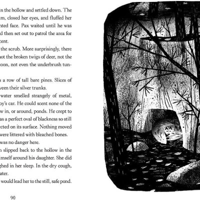 Truyện đọc thiếu nhi  tiếng Anh: PAX, JOURNEY HOME