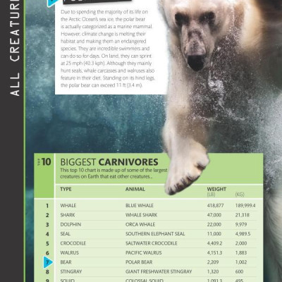 Top 10 of Everything 2018