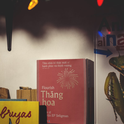 Sách - Thăng Hoa: Tầm nhìn tri thức mới về hạnh phúc và thịnh vượng - TIMES BOOKS