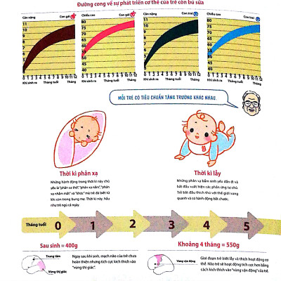 Dạy Con Kiểu Nhật - Giai Đoạn 0 Tuổi (Tái Bản)