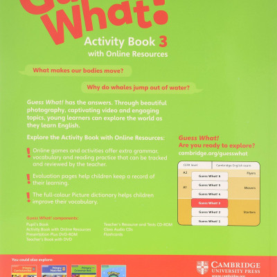 Guess What! Level 3 Activity Book with Online Resources British English
