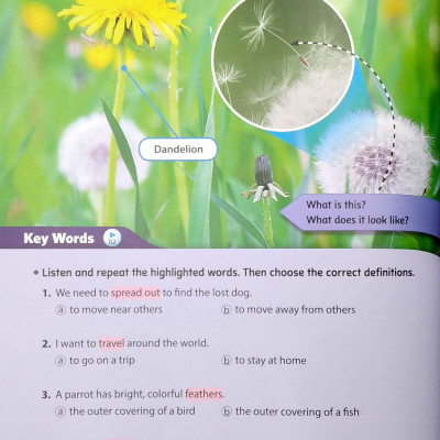 Smart Reading 6-2 (200 Words)