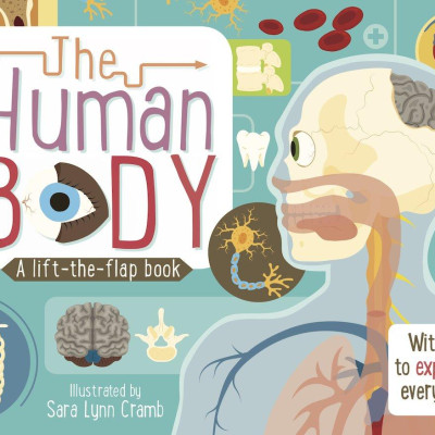 Lift The Flaps: Human Body - Sách lật mở: Cơ thể con người