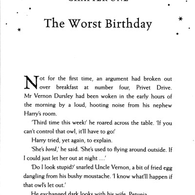 Harry Potter And The Chamber Of Secrets – Slytherin Edition (Hardback)